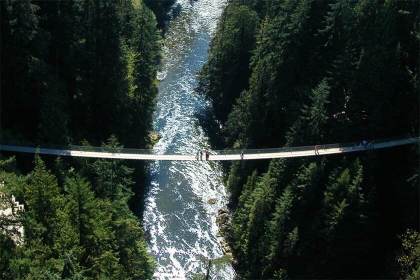 Jembatan Taman Ditangguhkan