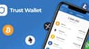 Training to work with Trust Wallet